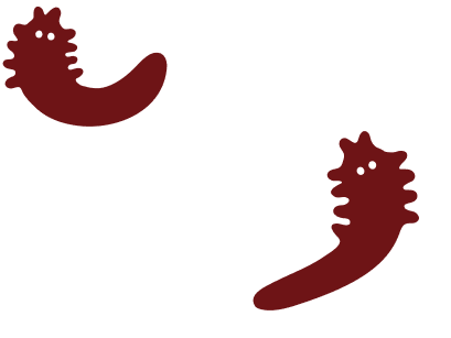 Two hand drawn mites