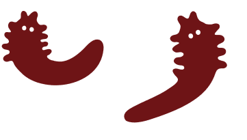 Two hand drawn mites